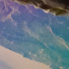 Do You Wanna Be My Ally?