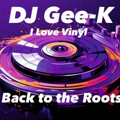 DJ Gee-K Back to the Roots / I Love Vinyl / House Classics Disco Ü35