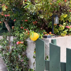 Kai Raka at RIPE: A Day Party