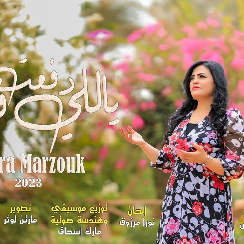 Yally Daf3t Feya /ياللى دفعت فيا