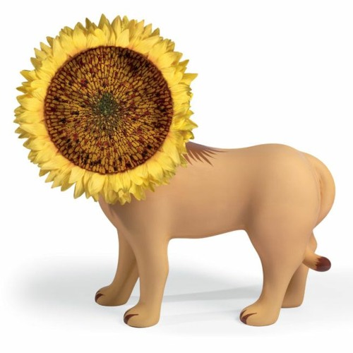 Sunflower b onlyfans