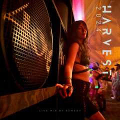Remedy - Live at Harvest Festival 2024