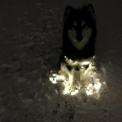 manifest [fiftyzeros]