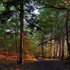 RSR - May'24 "35th Birthday" mix