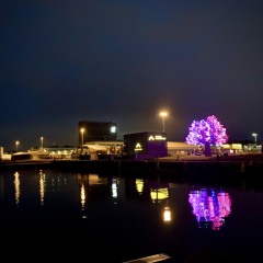 Coming In From The Cold