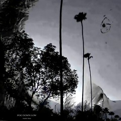 FOG DOWN LOW (Prod. Eeryskies)