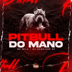 Pitbull Do Mano - Mc Mila (Prod. DJ Nandinho 22)