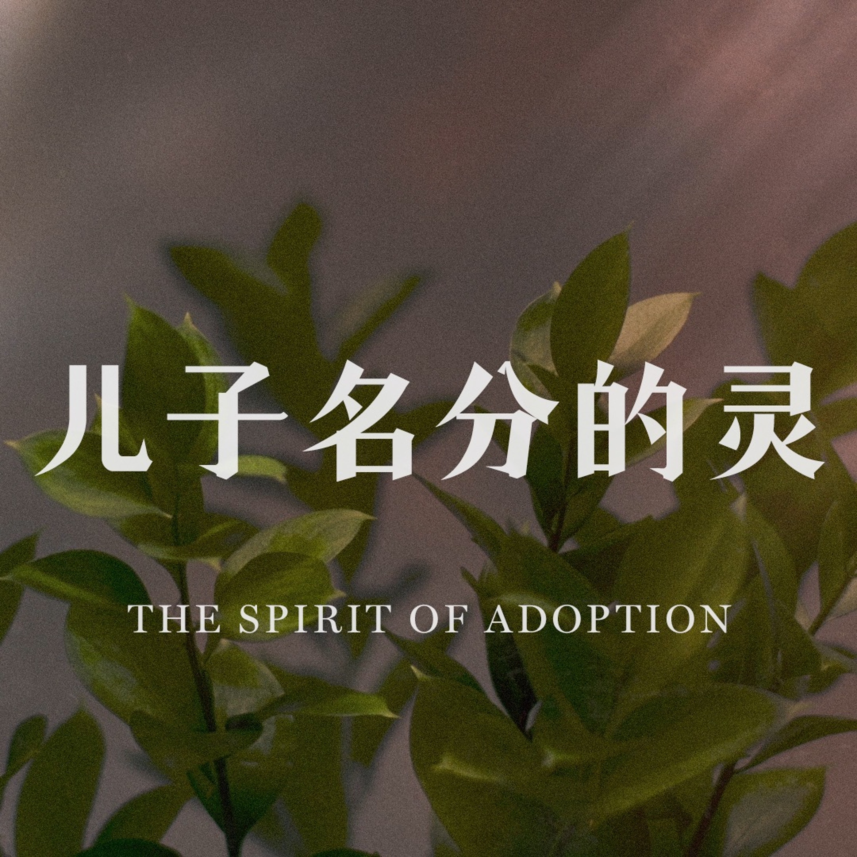 06/30/2024 【罗马书】儿子名分的灵（罗 8:14-17）——王唯权 牧师 episode artwork