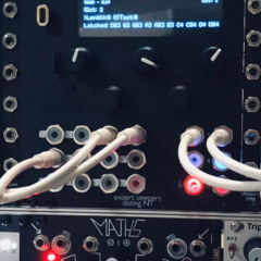 - The Evolution of Thorp -