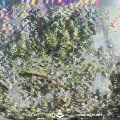 PREMIERE : FLIC - Paper-Thin Skin (Pure Fragments) {Carte Blanshe}