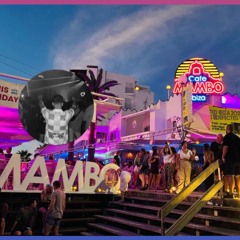 IBIZA MEETS DISCO