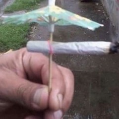 r e h e a t e d   g r a v y