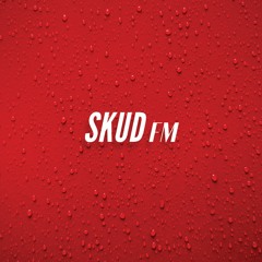 SKUD FM 9 - life goes hard