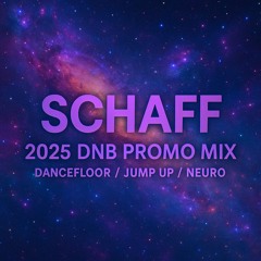 SCHAFF 2025 DNB PROMO MIX