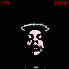 Junkie BOY