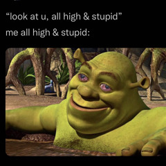 dummiboi