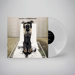 ECSTASY & TRASMUTATIONS _ RMR01