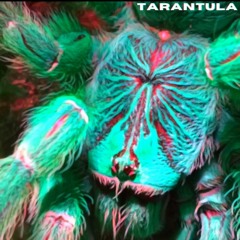 Tarantula(RZA, DJ Shadow style beat)