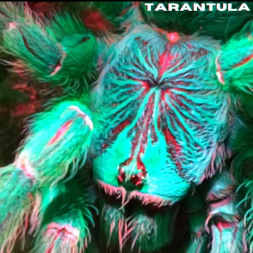 Tarantula(RZA, DJ Shadow style beat)