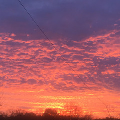 20Justel - In My Zone