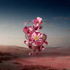 MSS MIX ** I Wanna Wake UP **