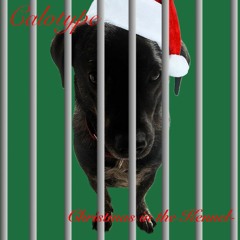 Christmas in the kennel