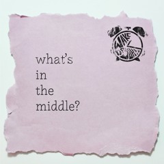 What's In The Middle?