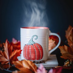 Halcyon | Lofi Non Copyright