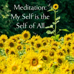 Meditation My Self Is The Self Of All