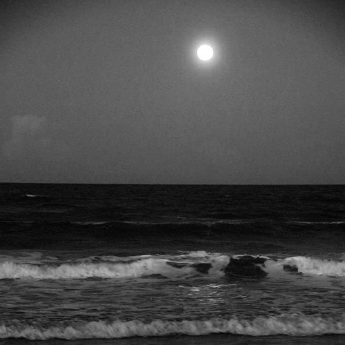 _ Trái tim em và dòng máu nóng để yêu anh_- Cho Em Gần Anh Thêm Chút Nữa (Slowed & Lofi)- Hương Tràm