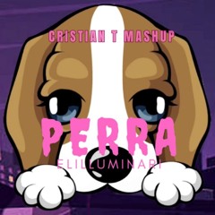 Elilluminari Vs J Balvin & Tokischa - Perra 1234 (Cristian T Mashup) FLTRD 4 COPYRIGHT FREE DWNLD