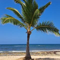 Progvibes 28_26.05.2024