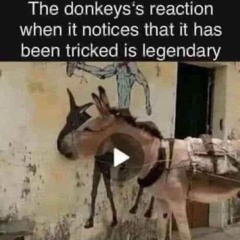 da ge mei/打歌妹 (that chinese meme song)