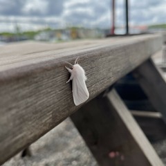 Work playlist 1: the original one