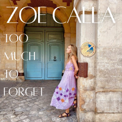 Too Much to Forget