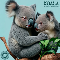 Alfonso Dominguez - Koala (Original Mix) [PREVIEW]