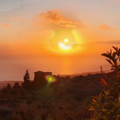 Forever Eleven x.mp3