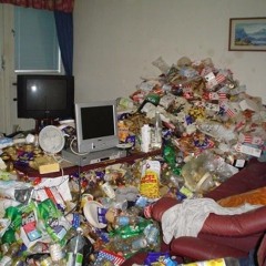 fried by screen time