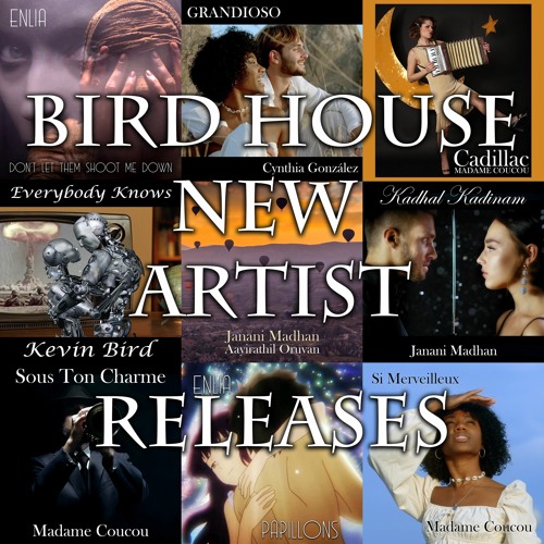 Stream Bird Productions Hawaii Listen to Bird House 2022 New Artist