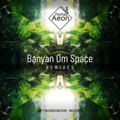 Pasha Aeon — Banyan Om Space (Wooden Rifle Remix)