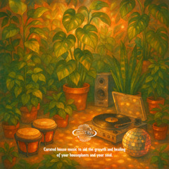 Music for Houseplants · Groovy Organic Afro House