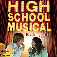 INDUSTRY PLANT X BREAKING FREE - ROXY DEKKER X HIGH SCHOOL MUSICAL (FLORIAN HAMELINK MASHUP)
