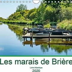 ⏳ LIRE PDF Les marais de Brière Loire-Atlantique (Calendrier mural 2020 DIN A4 horizontal) Gratuit