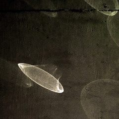 hadal - 22/11/25 [Voices Radio]