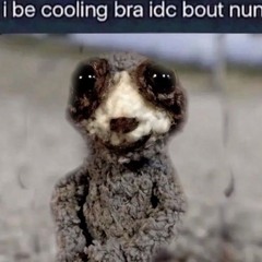 November      #stepteam