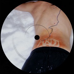 Ardt - Niederschlag