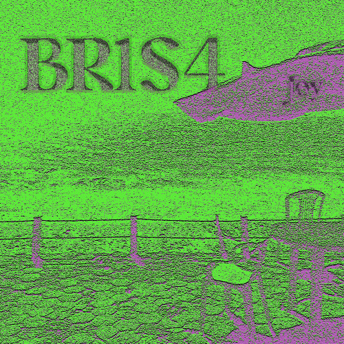 BR1S4