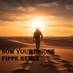 Now you're gone - Fippe Remix