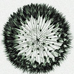 Ida Matsdotter , Oxytocin