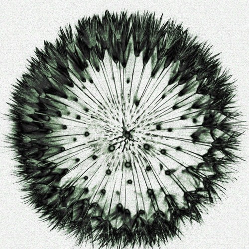 Ida Matsdotter , Oxytocin